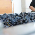 Solutions d'équipement vinicole