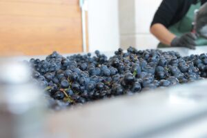 Solutions d'équipement vinicole