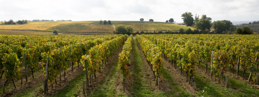 Matériels de Viticulture Faupin