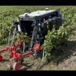 Robots Viticoles Yanmar