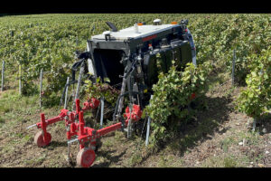 Robots Viticoles Yanmar