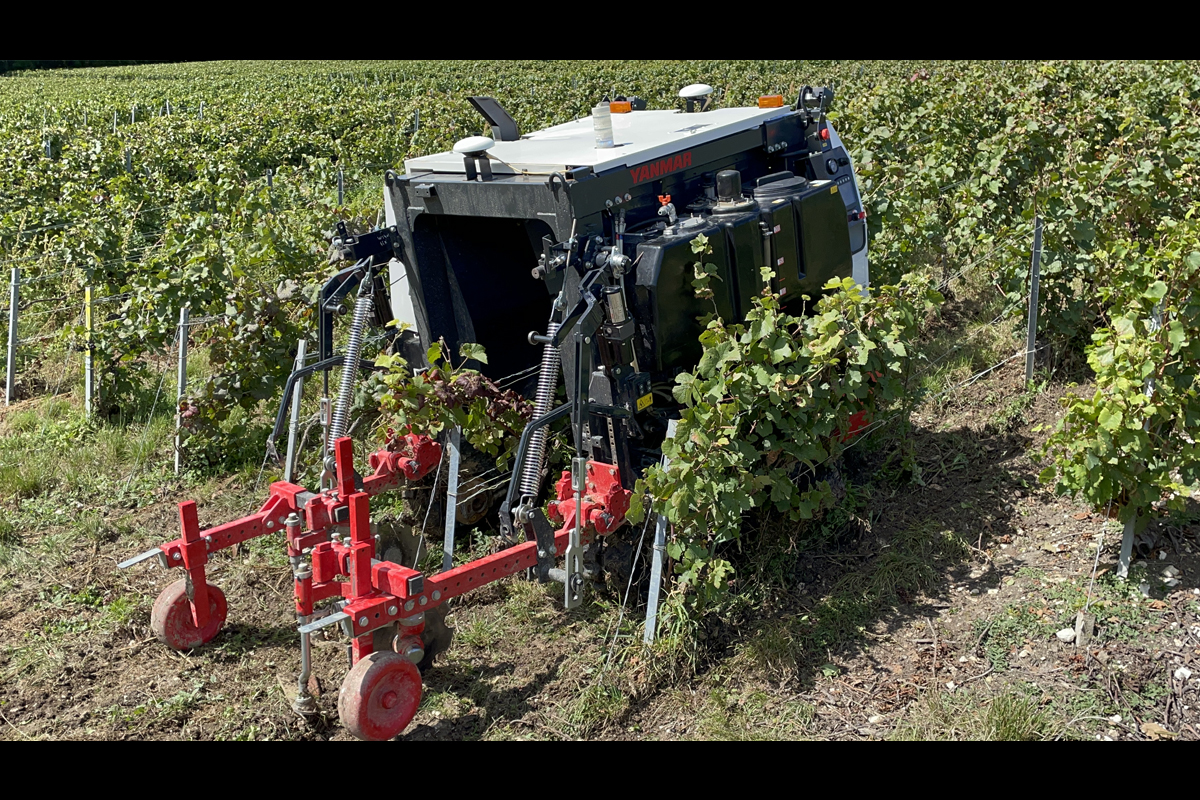 Robots Viticoles Yanmar